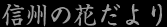 信州の花だより